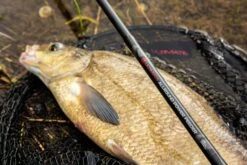 Canne Feeder Ultimate Allround Power 13 Canne Feeder Ultimate Allround Power -Pêche Série Boutique 01299b08f65e9c2a