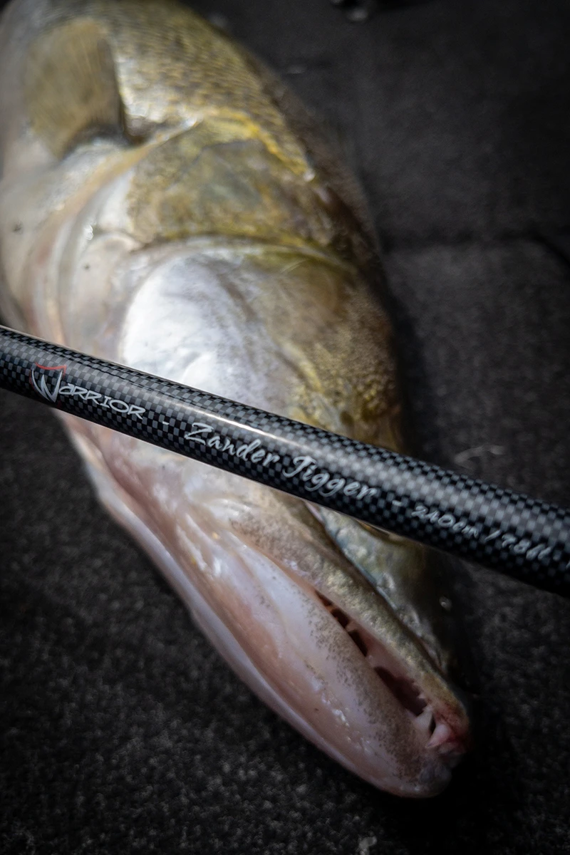 Canne Fox Rage Warrior Zander Jigger 2.40m (10-35g) 4 Canne Fox Rage Warrior Zander Jigger 2.40m (10-35g) – Image 2