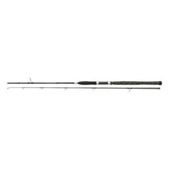 Penn Legion Cat Silver Spin 270cm 40-160g