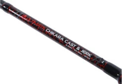Ultimate Chikara Cast & Jerk Set 2,20m (50-150g) -Pêche Série Boutique 2c3b2a9927ff1607