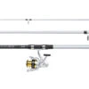 Mitchell Tanager SW Surf Spinning Combo 4,50m (100-250g) -Pêche Série Boutique 2d94235519bc3710