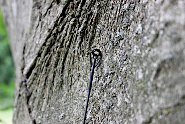 Canne Carpe Ashima FFX-D 12ft 4 Canne Carpe Ashima FFX-D 12ft – Image 2