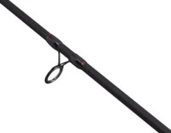 Canne Berkley Cherrywood Spezi Eel 2.40m (30-60g)