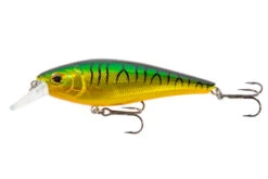 Ultimate Allround Chikara Spin Set 2.70m (10-40g)