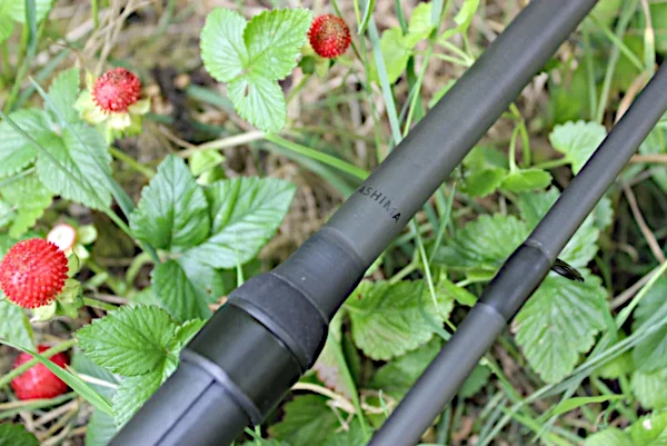 Canne Carpe Ashima FFX-D 12ft 6 Canne Carpe Ashima FFX-D 12ft – Image 4