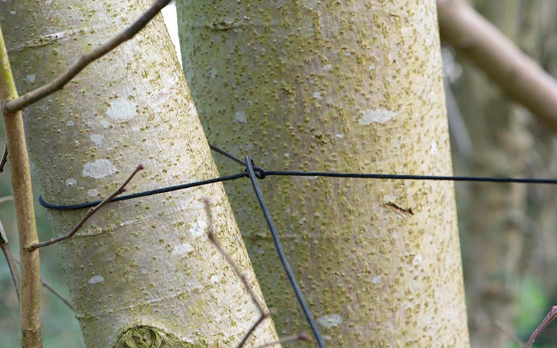 Bâche Fox Camo 3 Bâche Fox Camo