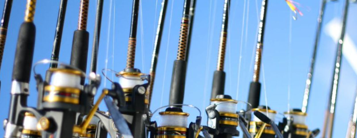 Pêche Série Boutique -Pêche Série Boutique ghjgj